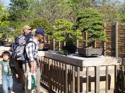 ���{�뉀�̖~�͂��Ϗ�