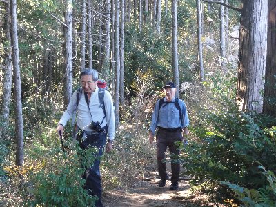 平坦な気持ちの良い道