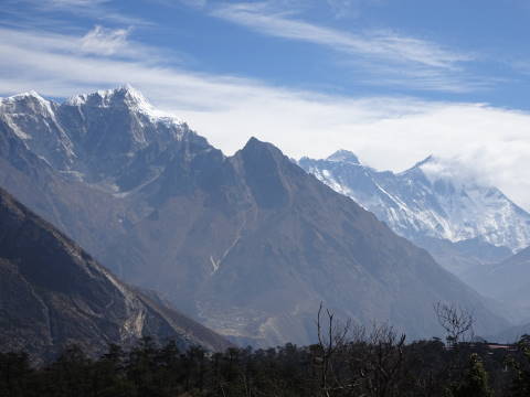 ポコ（？）から