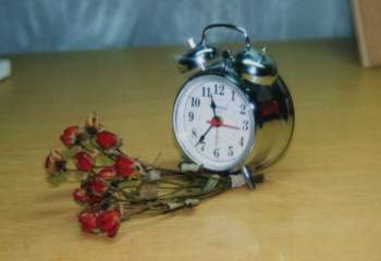 Roses and Non-Fiction